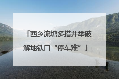 西乡流塘多措并举破解地铁口“停车难”