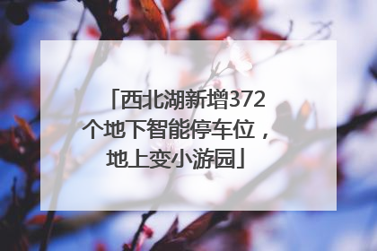 西北湖新增372个地下智能停车位，地上变小游园