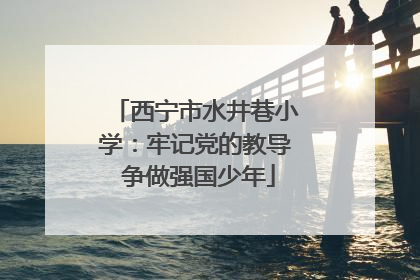 西宁市水井巷小学：牢记党的教导 争做强国少年