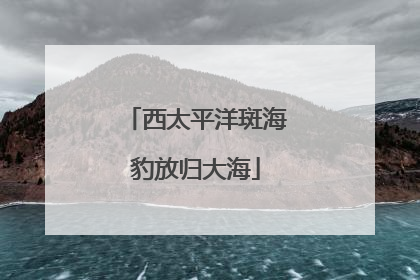 西太平洋斑海豹放归大海