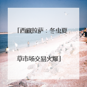 西藏拉萨：冬虫夏草市场交易火爆