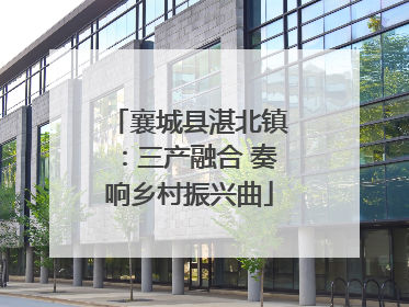 襄城县湛北镇：三产融合 奏响乡村振兴曲