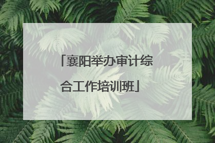 襄阳举办审计综合工作培训班