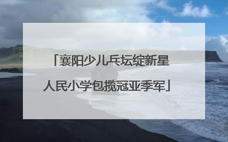 襄阳少儿乓坛绽新星 人民小学包揽冠亚季军