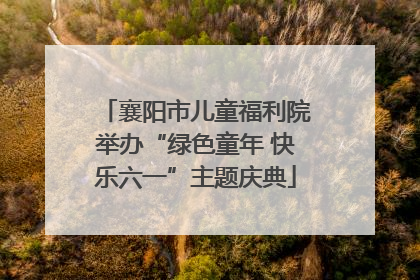 襄阳市儿童福利院举办“绿色童年 快乐六一”主题庆典