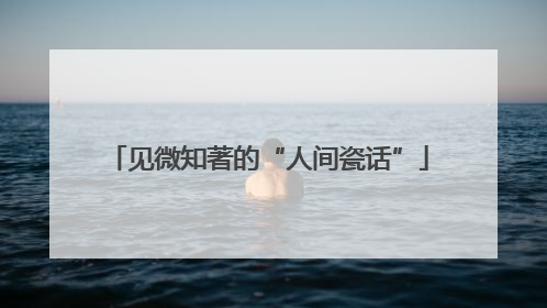 见微知著的“人间瓷话”