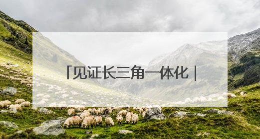 见证长三角一体化｜“进一扇门，办两省事”记者探访苏皖“两省一街”警务室