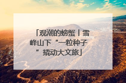 观潮的螃蟹丨雪峰山下“一粒种子”撬动大文旅