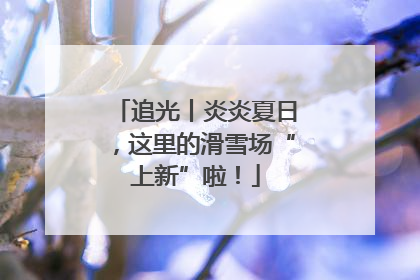 追光丨炎炎夏日，这里的滑雪场“上新”啦！