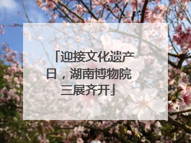 迎接文化遗产日，湖南博物院三展齐开