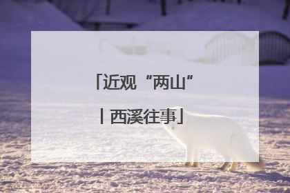 近观“两山”丨西溪往事