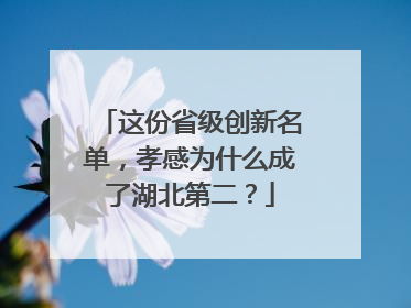 这份省级创新名单，孝感为什么成了湖北第二？
