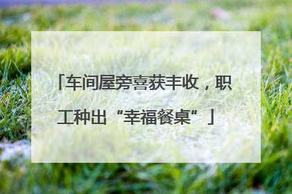 车间屋旁喜获丰收，职工种出“幸福餐桌”