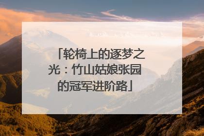 轮椅上的逐梦之光：竹山姑娘张园的冠军进阶路