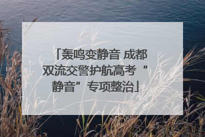 轰鸣变静音 成都双流交警护航高考“静音”专项整治
