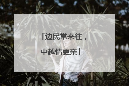 边民常来往，中越情更亲