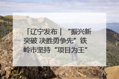辽宁发布｜“振兴新突破 决胜勇争先”铁岭市坚持“项目为王”推进经济高质量发展