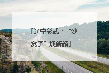 辽宁彰武：“沙窝子”焕新颜