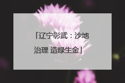 辽宁彰武：沙地治理 造绿生金