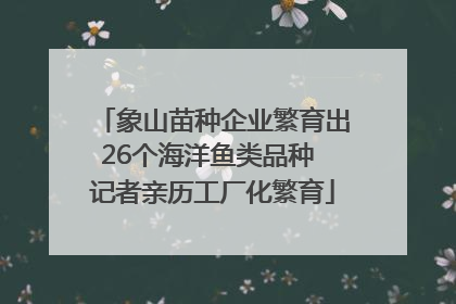 象山苗种企业繁育出26个海洋鱼类品种 记者亲历工厂化繁育
