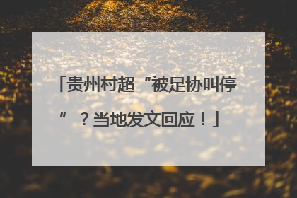 贵州村超“被足协叫停”？当地发文回应！