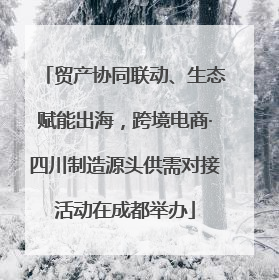 贸产协同联动、生态赋能出海，跨境电商·四川制造源头供需对接活动在成都举办