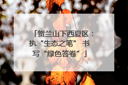 贺兰山下西夏区：执“生态之笔” 书写“绿色答卷”
