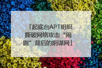 起底台APT组织 撕破网络攻击“闹剧”背后的阴谋网