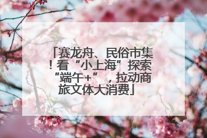 赛龙舟、民俗市集！看“小上海”探索“端午+”，拉动商旅文体大消费