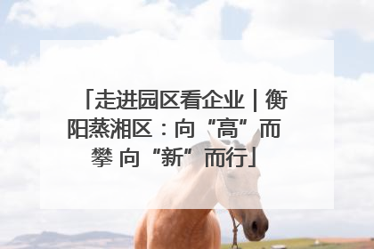 走进园区看企业｜衡阳蒸湘区：向“高”而攀 向“新”而行