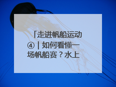 走进帆船运动④｜如何看懂一场帆船赛？水上的“速度与激情”同样精彩