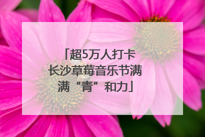 超5万人打卡 长沙草莓音乐节满满“青”和力