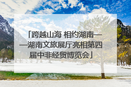 跨越山海 相约湖南——湖南文旅展厅亮相第四届中非经贸博览会