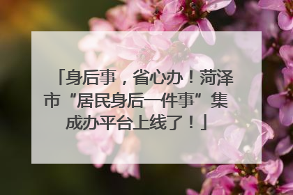 身后事，省心办！菏泽市“居民身后一件事”集成办平台上线了！