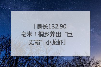 身长132.90毫米！桐乡养出“巨无霸”小龙虾