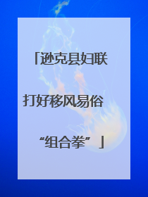 逊克县妇联打好移风易俗“组合拳”