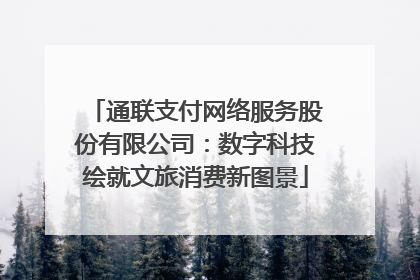 通联支付网络服务股份有限公司：数字科技绘就文旅消费新图景