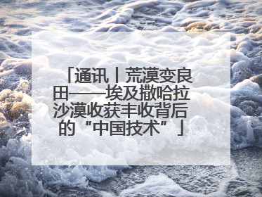 通讯丨荒漠变良田——埃及撒哈拉沙漠收获丰收背后的“中国技术”
