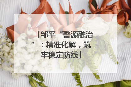 邹平“警源融治”：精准化解，筑牢稳定防线