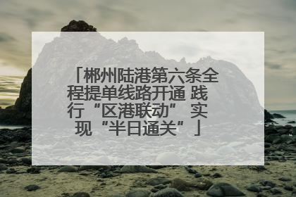 郴州陆港第六条全程提单线路开通 践行“区港联动” 实现“半日通关”