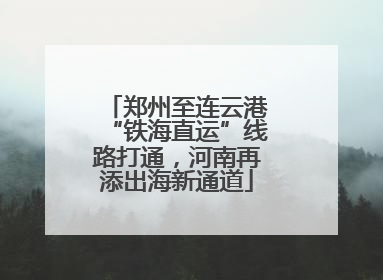 郑州至连云港“铁海直运”线路打通，河南再添出海新通道