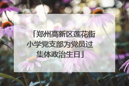 郑州高新区莲花街小学党支部为党员过集体政治生日