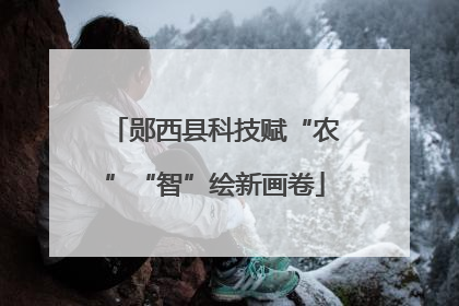 郧西县科技赋“农”“智”绘新画卷