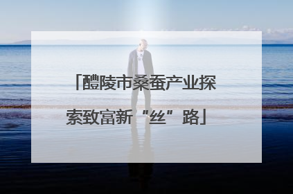 醴陵市桑蚕产业探索致富新“丝”路