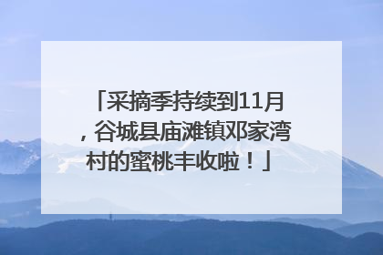 采摘季持续到11月，谷城县庙滩镇邓家湾村的蜜桃丰收啦！