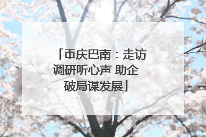 重庆巴南：走访调研听心声 助企破局谋发展