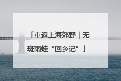 重返上海郊野｜无斑雨蛙“回乡记”