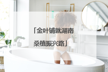 金叶铺就湖南桑植振兴路