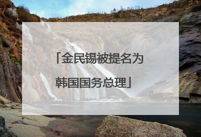 金民锡被提名为韩国国务总理