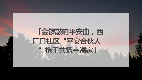 金锣敲响平安曲，西厂口社区“平安合伙人”携手共筑幸福家